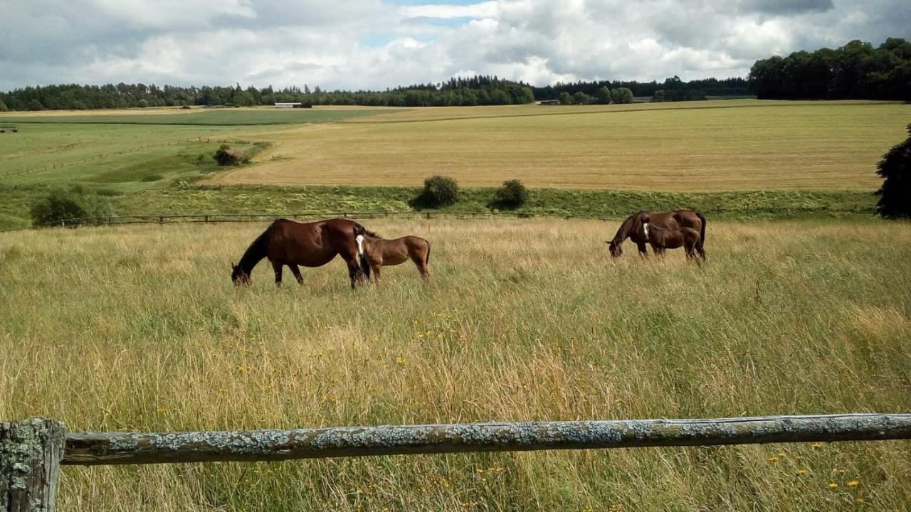 Schoene Aussicht Vohl Екстер'єр фото